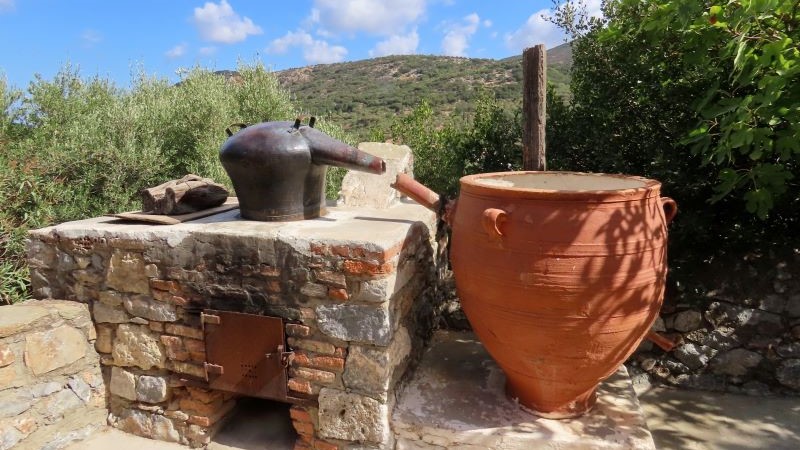 Udflugt 2: Livet som grker (inkl. frokost)